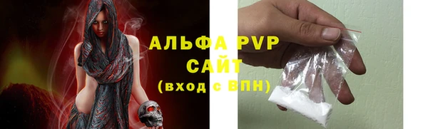 молекула духа Арсеньев