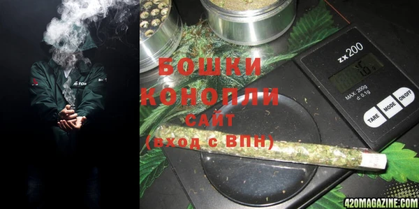 молекула духа Арсеньев
