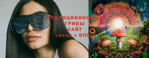 молекула духа Арсеньев