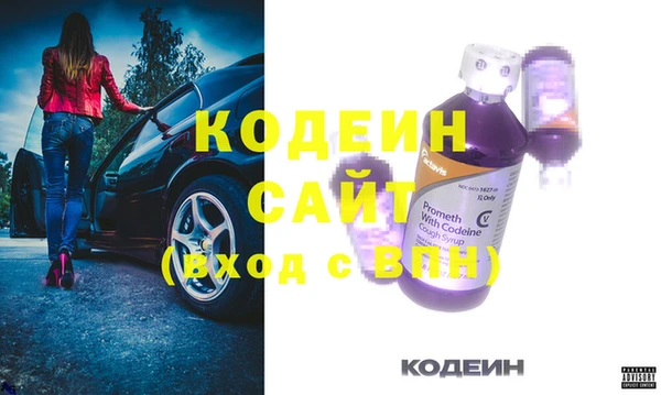 молекула духа Арсеньев
