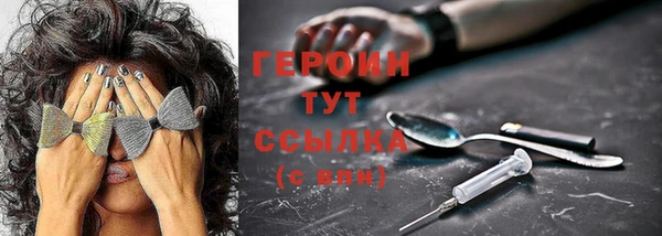 молекула духа Арсеньев