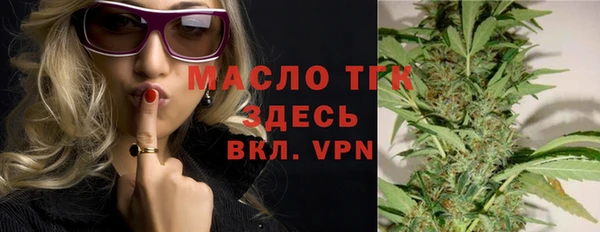 молекула духа Арсеньев